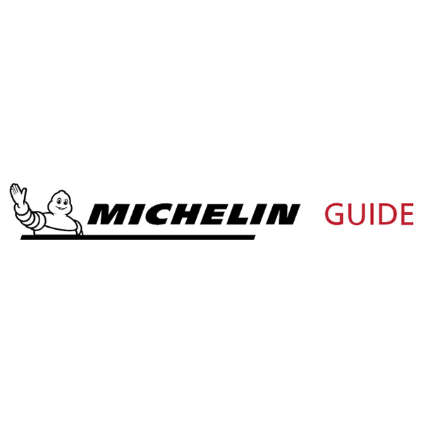 Michelin Logo